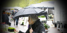 Grønttorvet 09.05.2012 Forårsregn