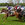 JVB - Galop