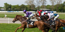 JVB - Galop